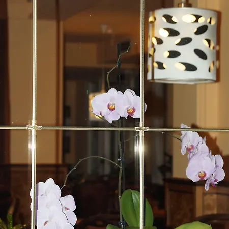 Sonneneck 호텔 빈터베르크