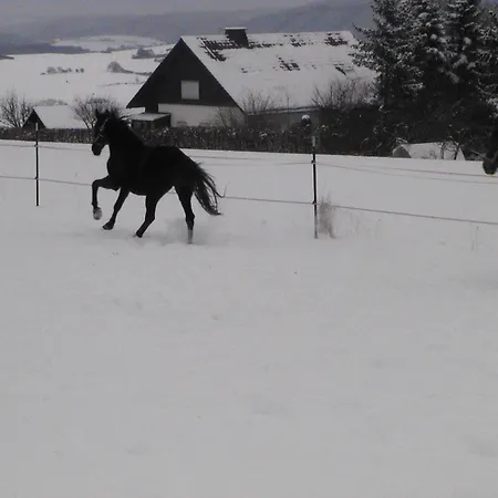 Sonneneck Winterberg