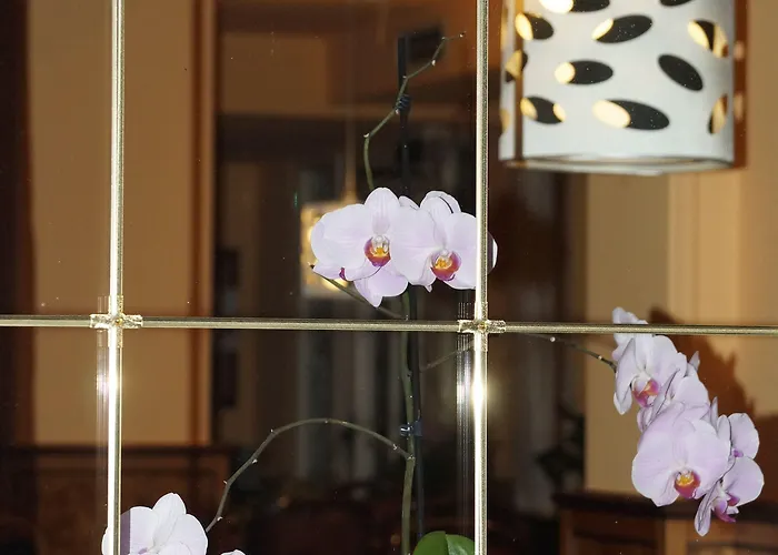 Sonneneck ホテル ヴィンターベルク