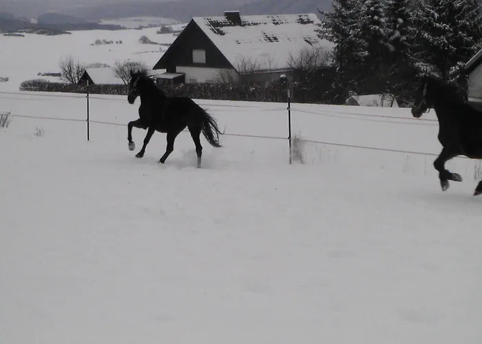 Sonneneck وينتربرغ